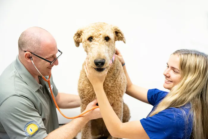 North Scottsdale Animal Hospital Picture 10