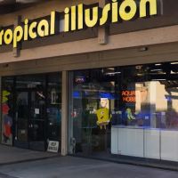 Tat Tropical Illusion ico