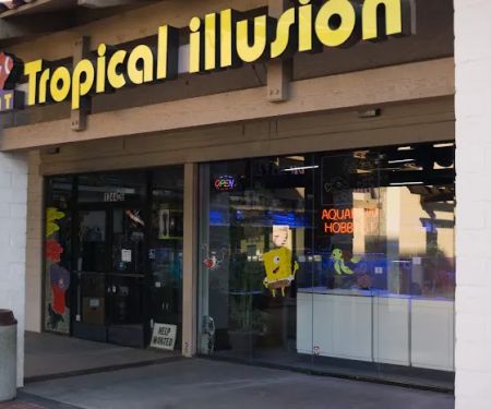 Tat Tropical Illusion