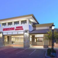 Horizon Animal Hospital ico
