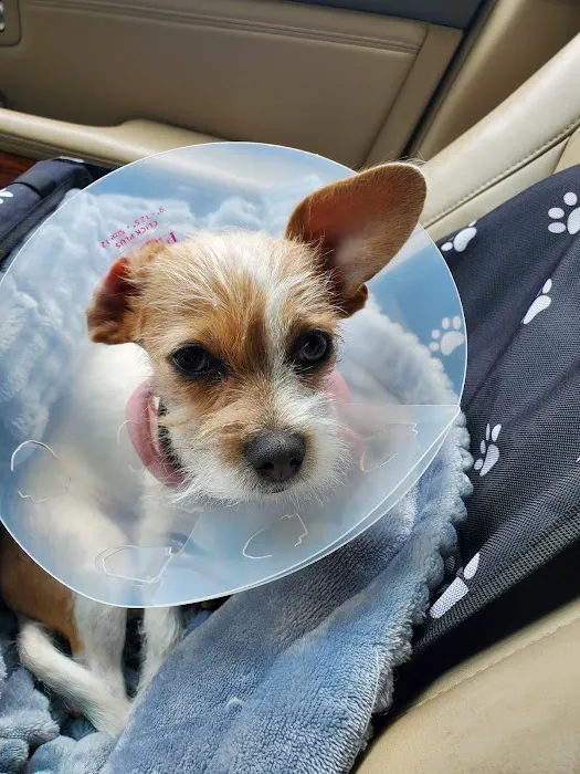 Horizon Animal Hospital Picture 6