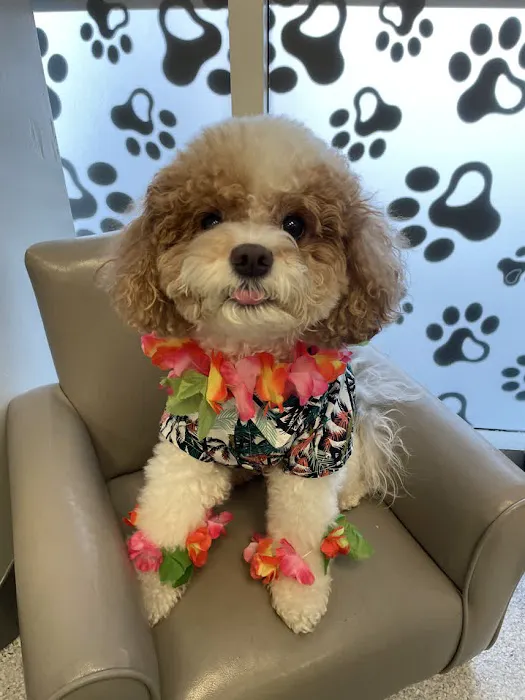 Horizon Animal Hospital Picture 5