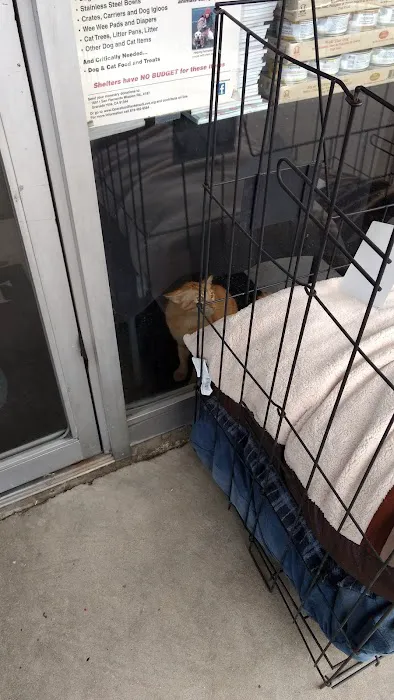 Healthy Pet Picture 1