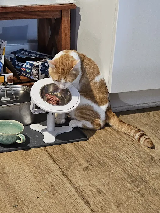 Healthy Pet Picture 3