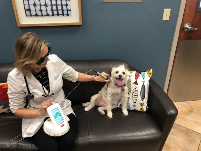 Hillside Animal Hospital Picture 10