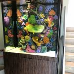 Aquatic Contractors