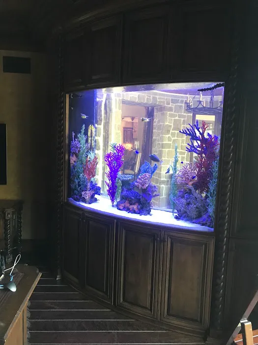 Aquatic Contractors Picture 2