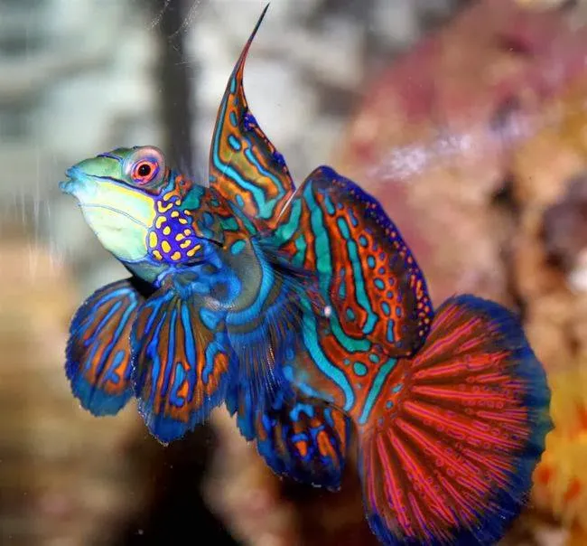 Aquatic Contractors Picture 5