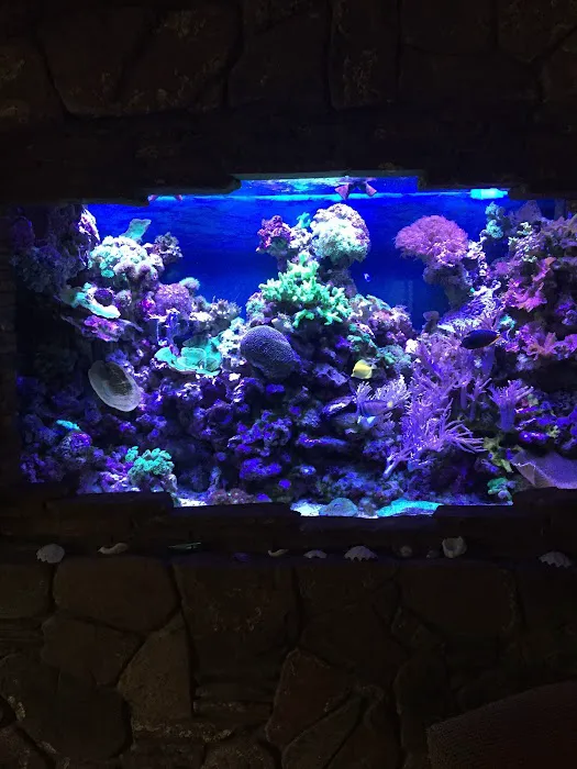 Aquatic Contractors Picture 8