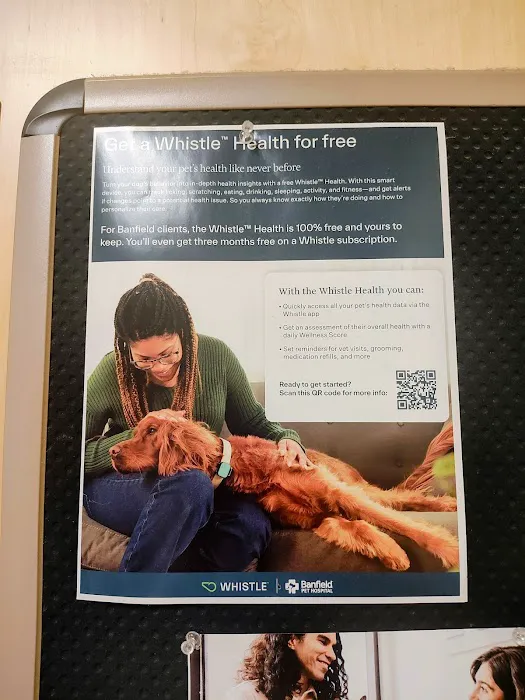 Banfield Pet Hospital Picture 2