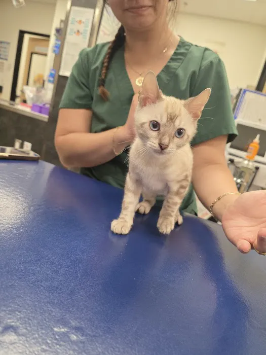 Banfield Pet Hospital Picture 5