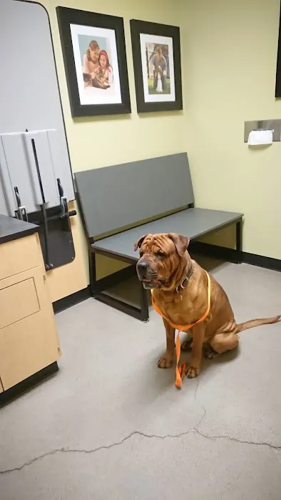 Banfield Pet Hospital Picture 6