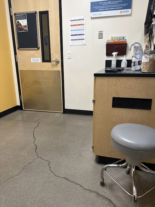 Banfield Pet Hospital Picture 8