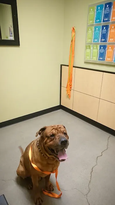 Banfield Pet Hospital Picture 7