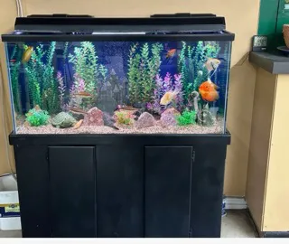 Aquatech Aquarium Service Picture 2