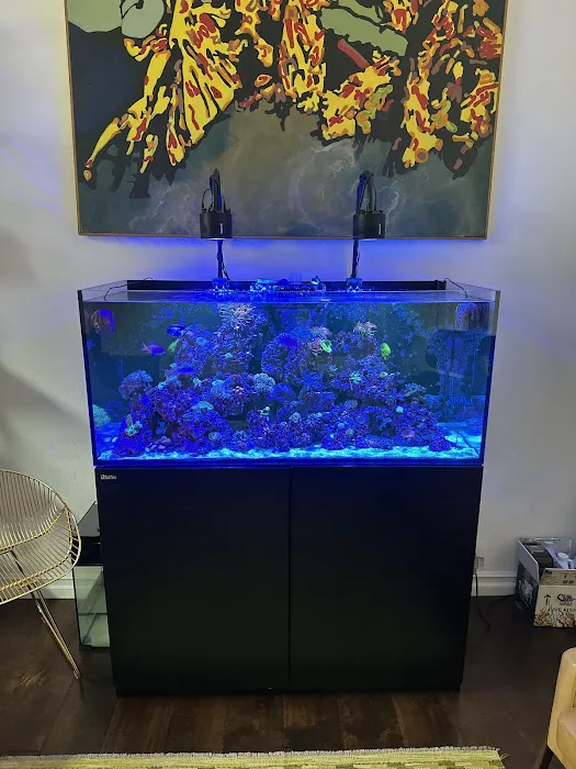 Aquatech Aquarium Service Picture 1