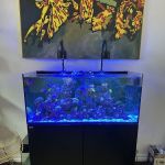 Aquatech Aquarium Service