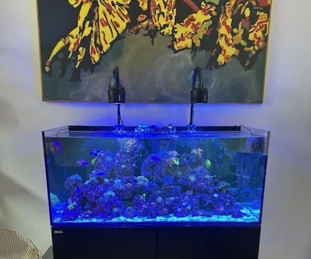 Aquatech Aquarium Service