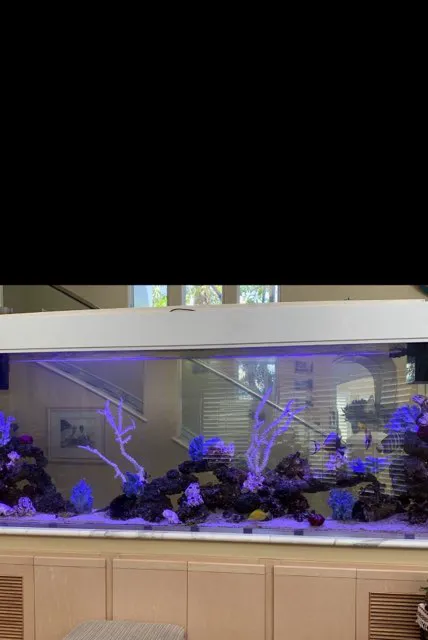 Aquatech Aquarium Service Picture 7