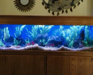 Aquatech Aquarium Service Picture 10