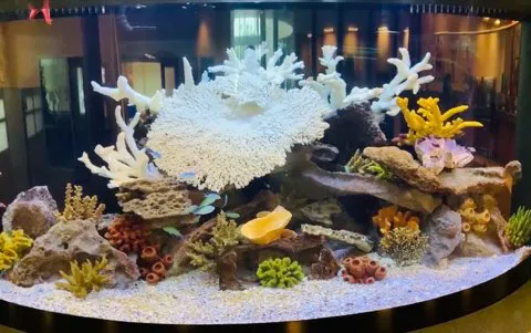 Aquatech Aquarium Service Picture 8