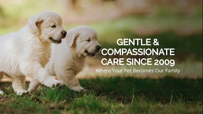 McDowell Mountain Animal Hospital Picture 5