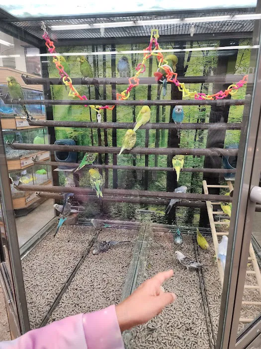 Petco Picture 3