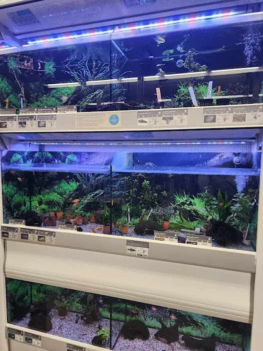 Petco Picture 2
