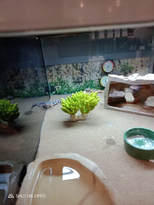 Petco Picture 5