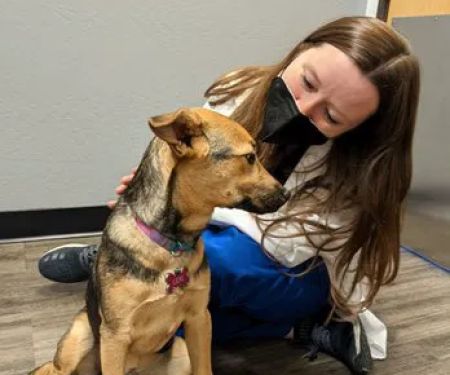 Animal Hospital at Grayhawk