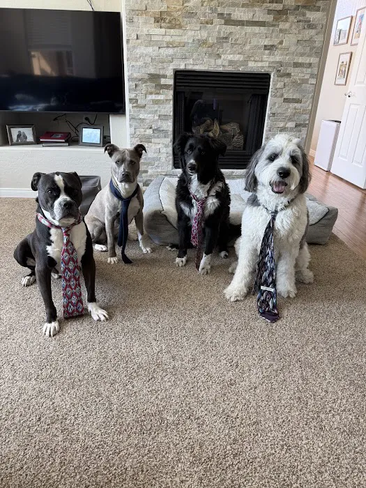 Scottsdale Animal Healthcare Picture 2