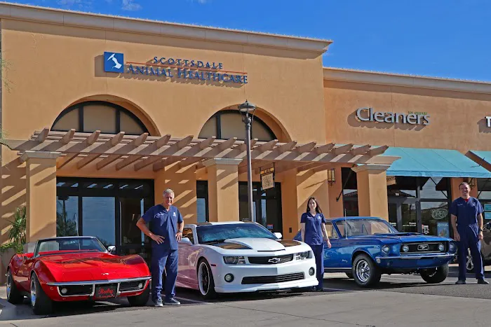 Scottsdale Animal Healthcare Picture 5