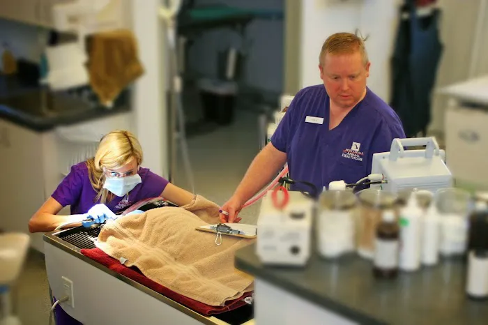 Scottsdale Animal Healthcare Picture 8