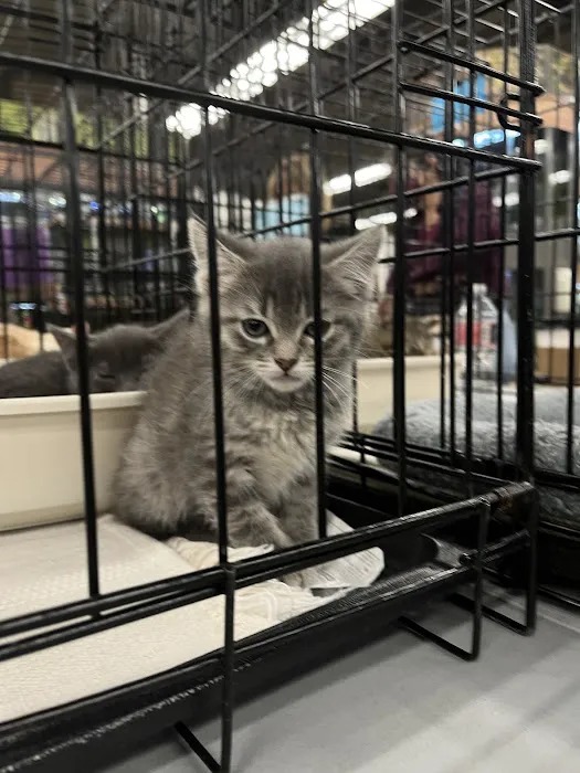 Petco Picture 8