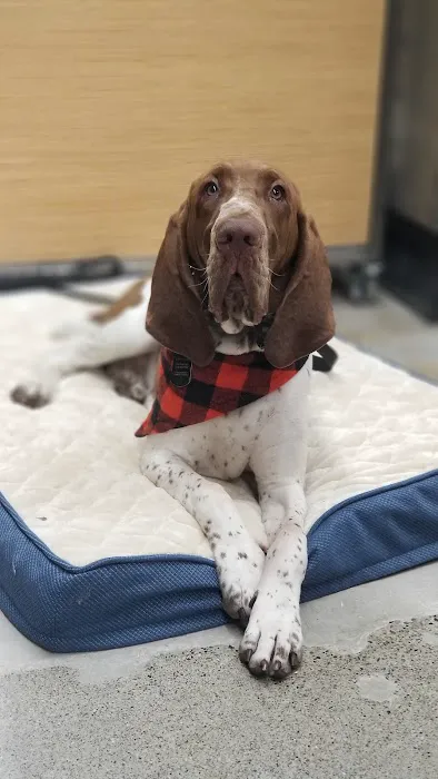 Petco Picture 9