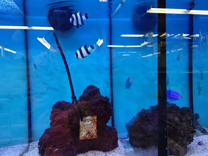 Petco Picture 7