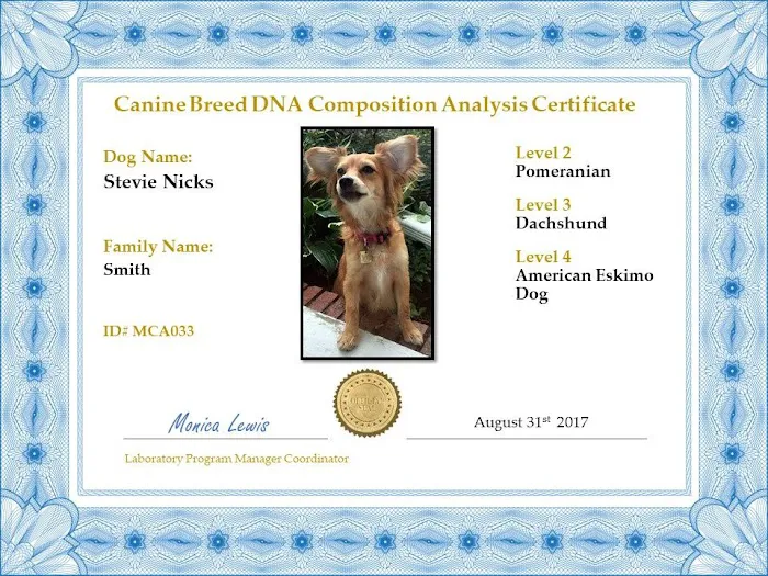 My Canines Ancestry DNA Lab Services Picture 1