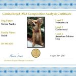 My Canines Ancestry DNA Lab Services