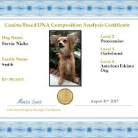 My Canines Ancestry DNA Lab Services ico