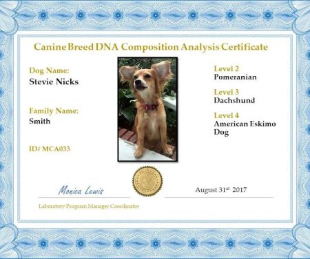 My Canines Ancestry DNA Lab Services