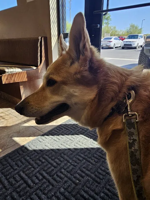 Scottsdale Veterinary Specialty and Emergency Center Picture 2