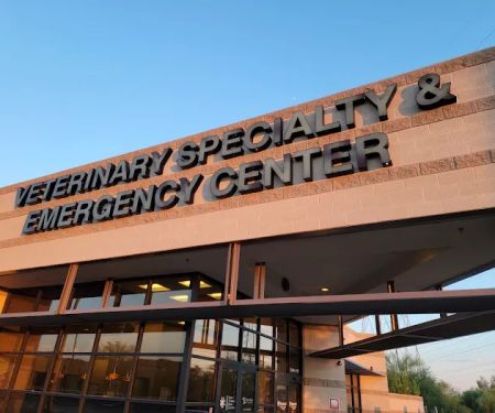 Scottsdale Veterinary Specialty and Emergency Center