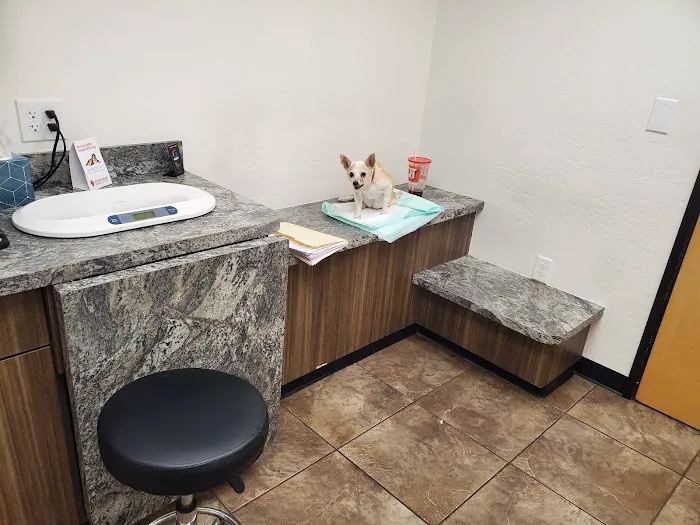 Scottsdale Veterinary Specialty and Emergency Center Picture 5