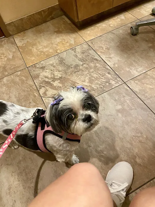 Eye Care for Animals - North Scottsdale Picture 1
