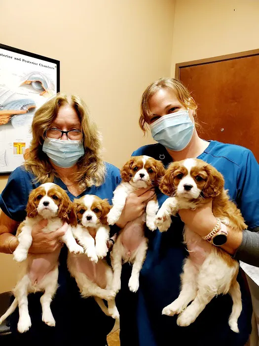 Eye Care for Animals - North Scottsdale Picture 8