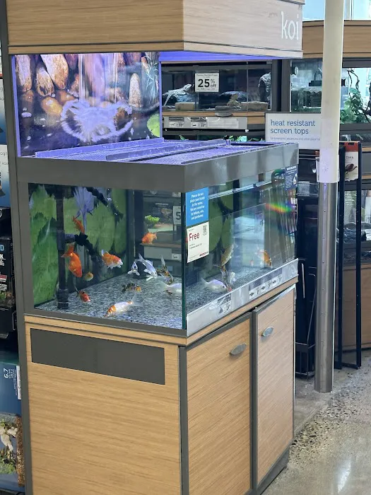 Petco Picture 1