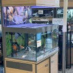 Petco
