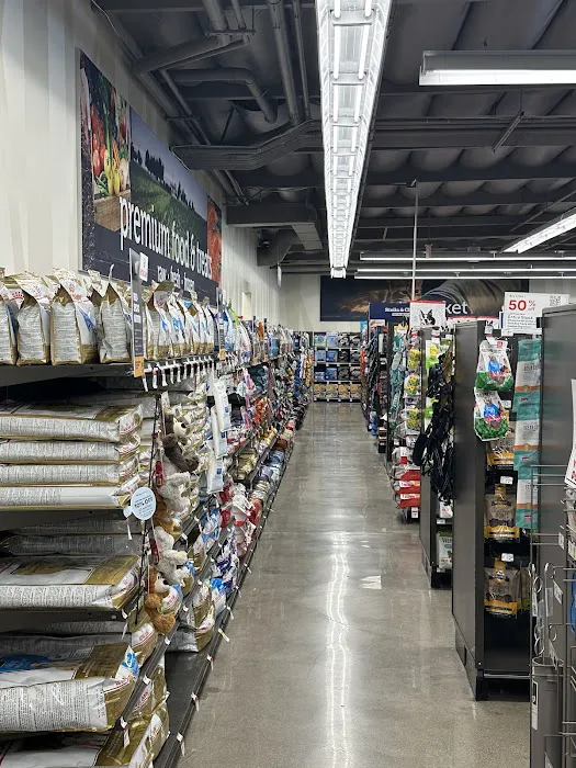 Petco Picture 5