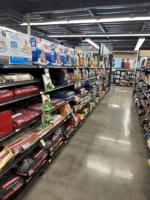 Petco Picture 4