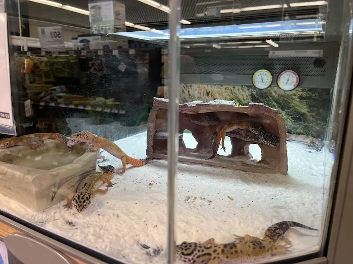 Petco Picture 10